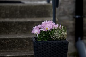 IMG 6828 300x200